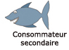 consommateur secondaire