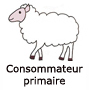 Consommateur