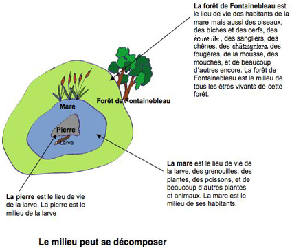 Le milieu se décompose