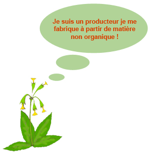 Plante producteur