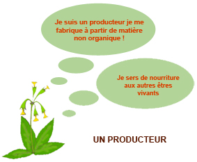 Producteur - Biologie