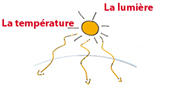 Lumière et température