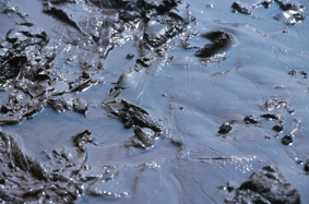 Zone de cpatage des eaux