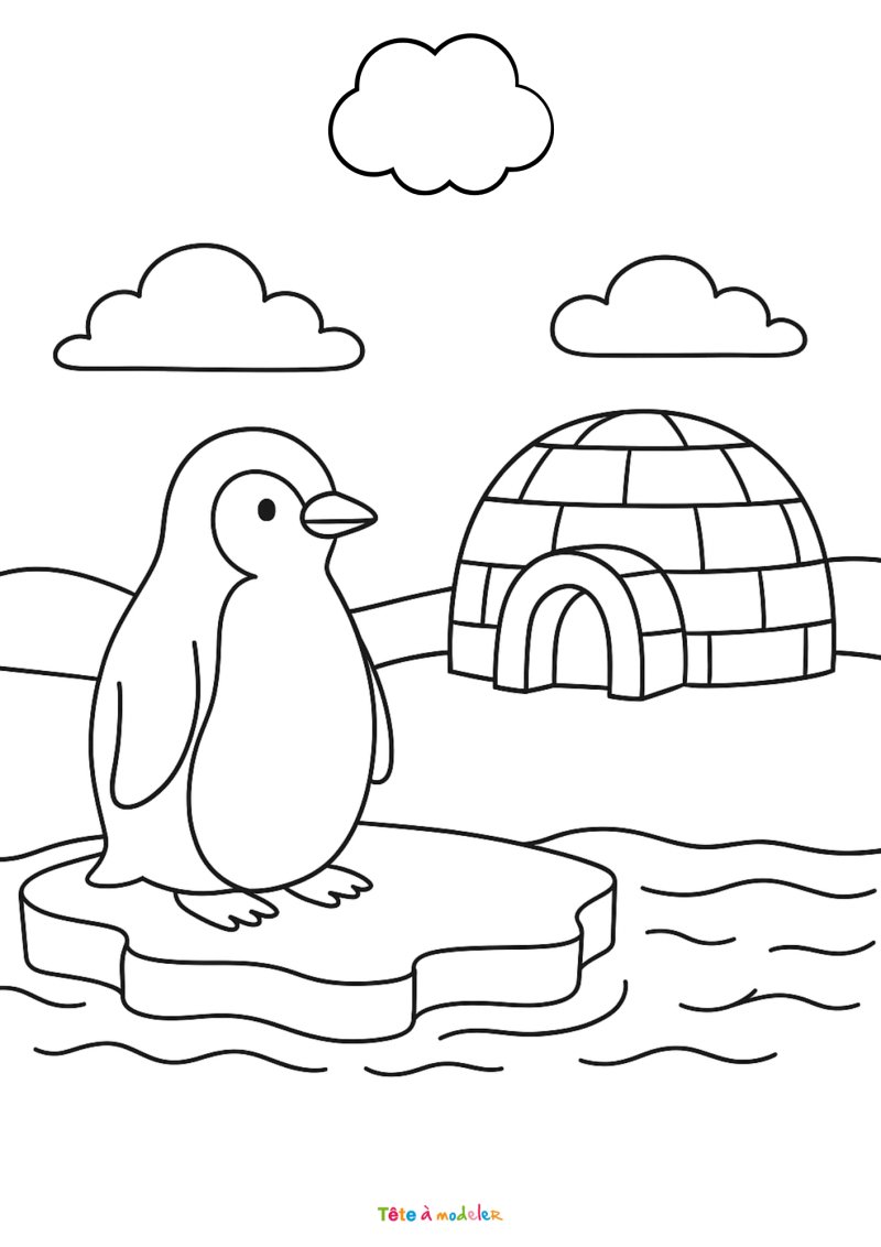 Coloriage du pingoin 