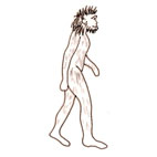 homo erectus