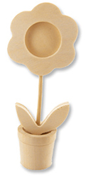 Kit de 6 pots de fleur cadre marguerite