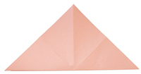 Plier la feuille en diagonale
