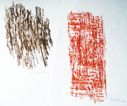 Empreintes de troncs d'arbres