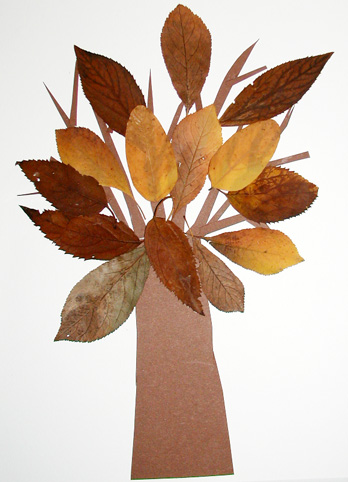Arbre en feuilles d'automne