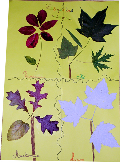 Les arbres et les saisons