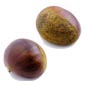 fruits de chataîgnier