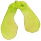 fruit d'érable