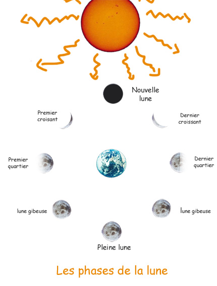 Le phases lunaires en tableau
