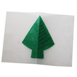 coller le sapin vert
