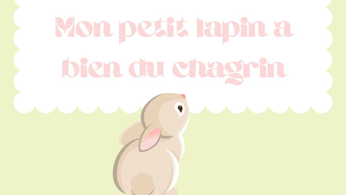 Mon petit lapin a bien du chagrin : les paroles de la chanson