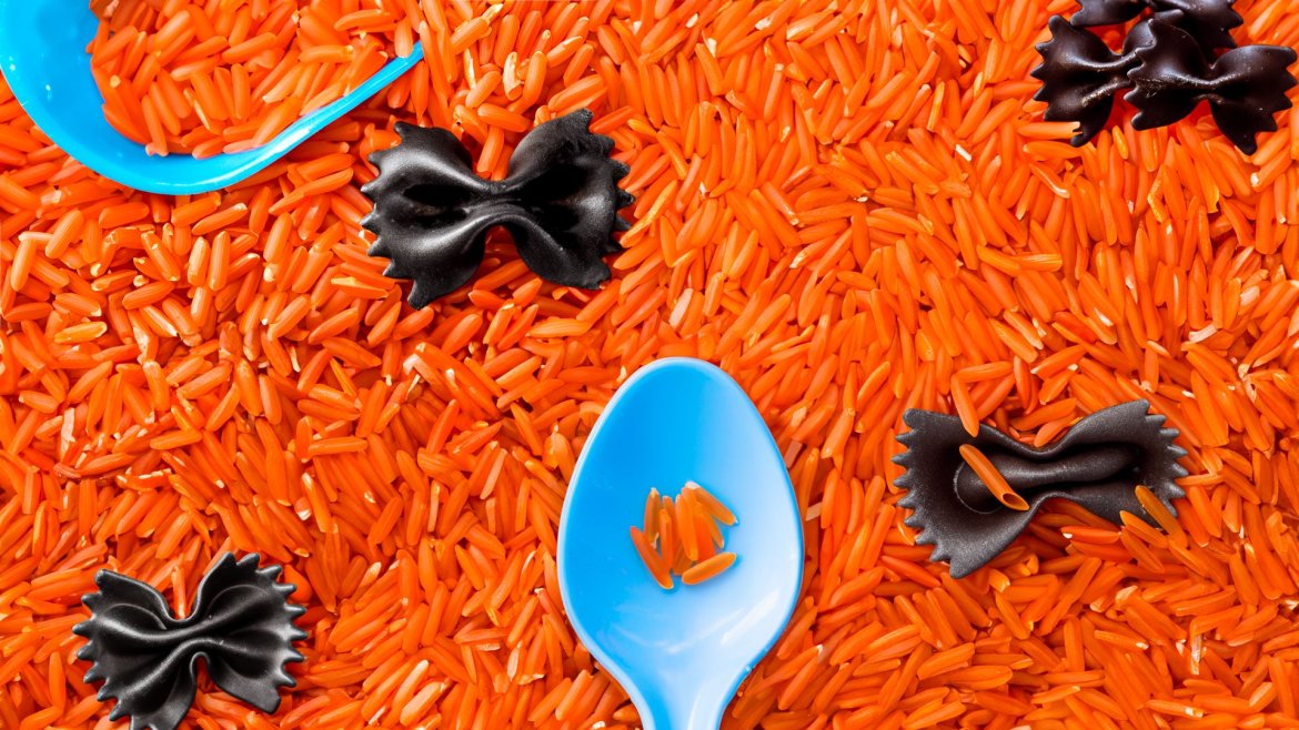 Le bac sensoriel et ses chauves-souris