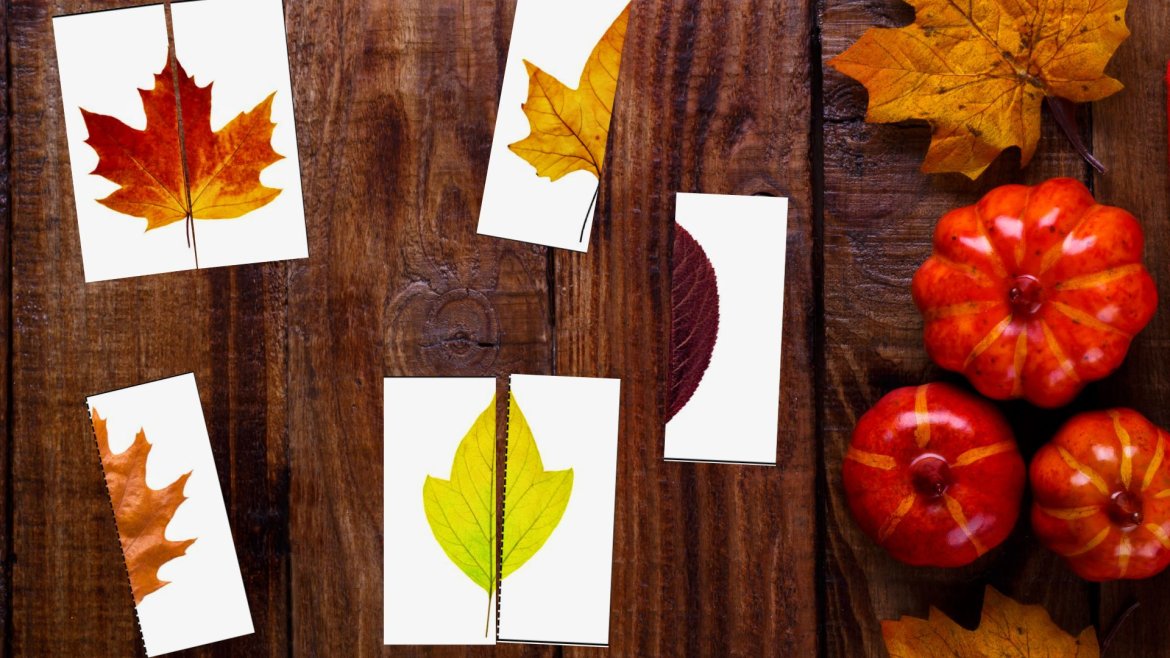 Activité d'Automne : Le jeu de puzzle avec les feuilles d'Automne