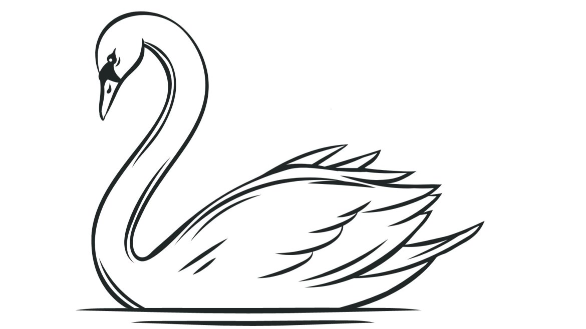 Cygne : des dessins gratuits avec le plus élégant et gracieux oiseau du monde