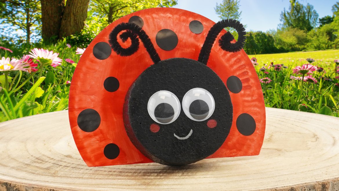 Coccinelle avec une assiette en carton