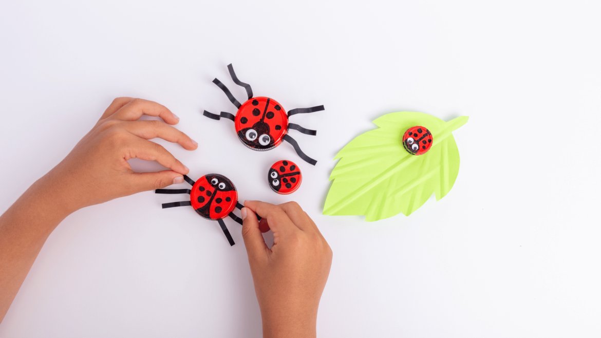 Coccinelles en bouchon