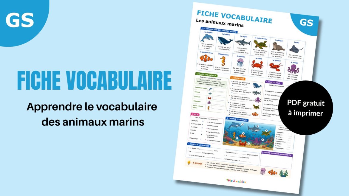 Téléchargez une fiche vocabulaire sur les animaux marins pour la maternelle et le CP. Activités, exercices et mots illustrés à imprimer gratuitement.