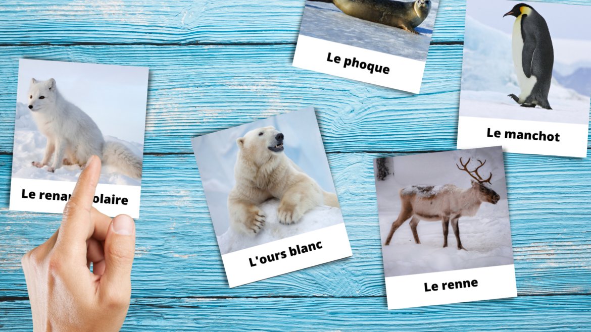 imagier Montessori à imprimer gratuitement. Imprimez un imagier de Noël pour proposer une activité tirée de la pédagogie Montessori aux enfants. Activité rapide et intelligente à proposer aux e