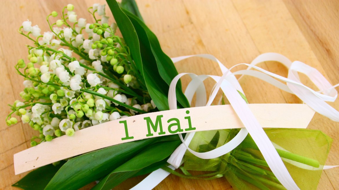 Originaire d’Asie, le muguet est un porte-bonheur largement offert le 1er mai à l’occasion de la fête du travail. Une jolie fleur à clochettes blanches qui symbolise le printemps et le bonheur