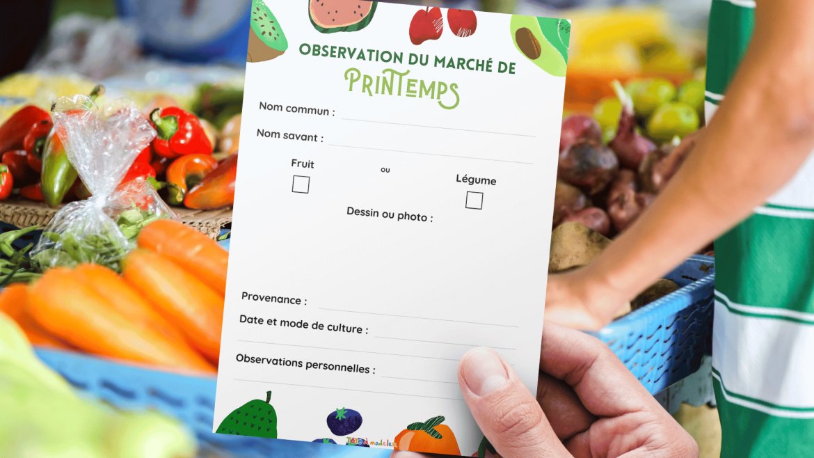 Activité sur les légumes du marché de printemps, un bricolage pour partir à la découverte des légumes de saison : leur forme, leur couleur, leur nom ou leurs caractéristiques