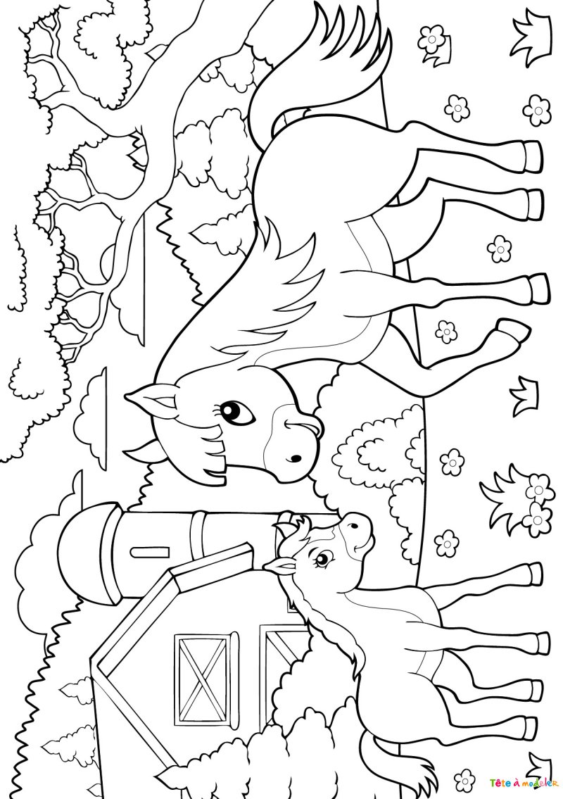 Cheval à crinière tressée