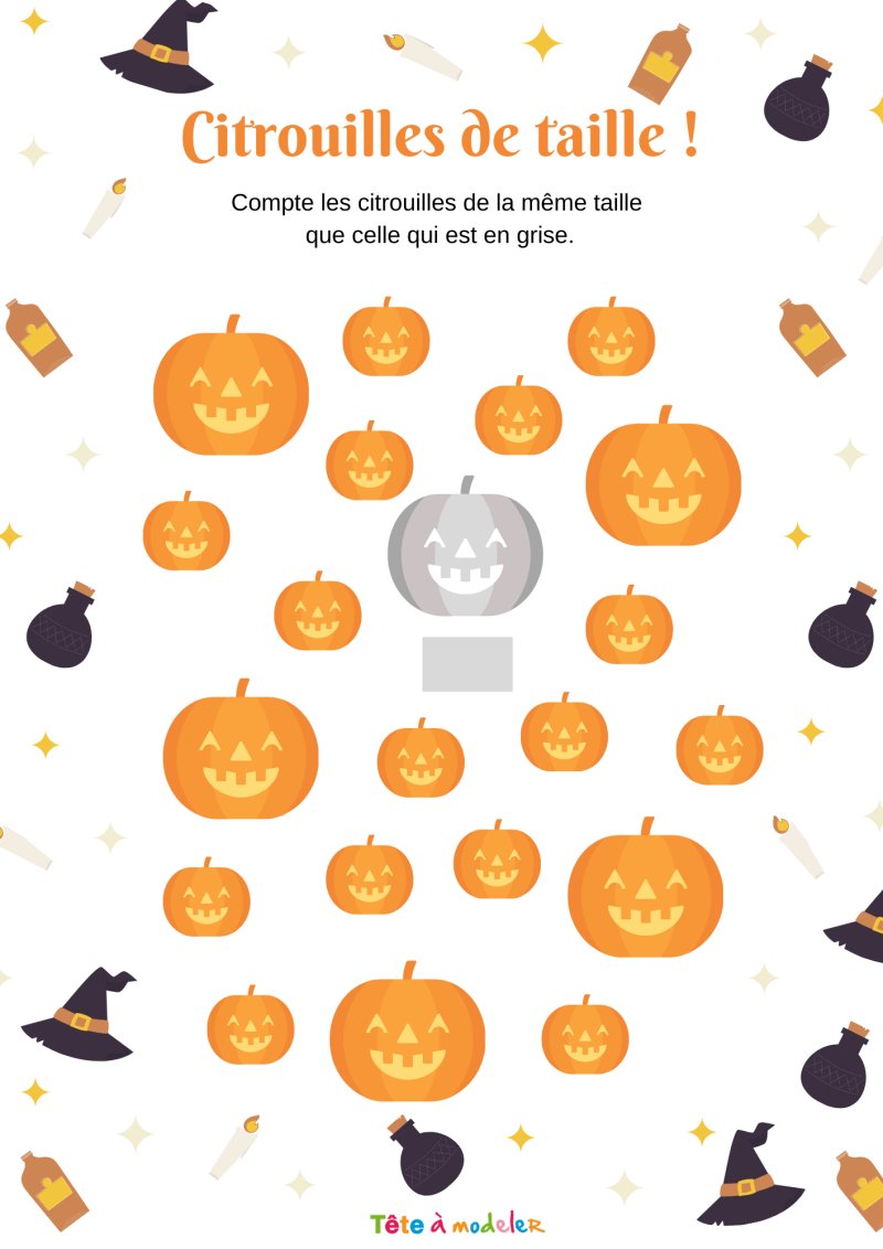 Citrouilles de taille !