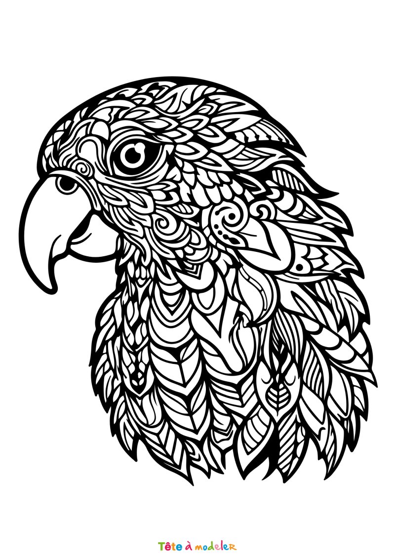 Coloriage aigle art therapie