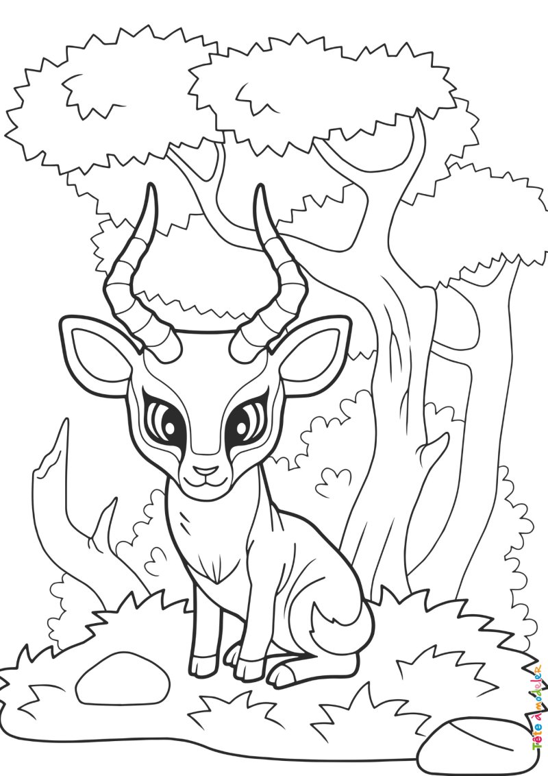 Coloriage antilope #02
