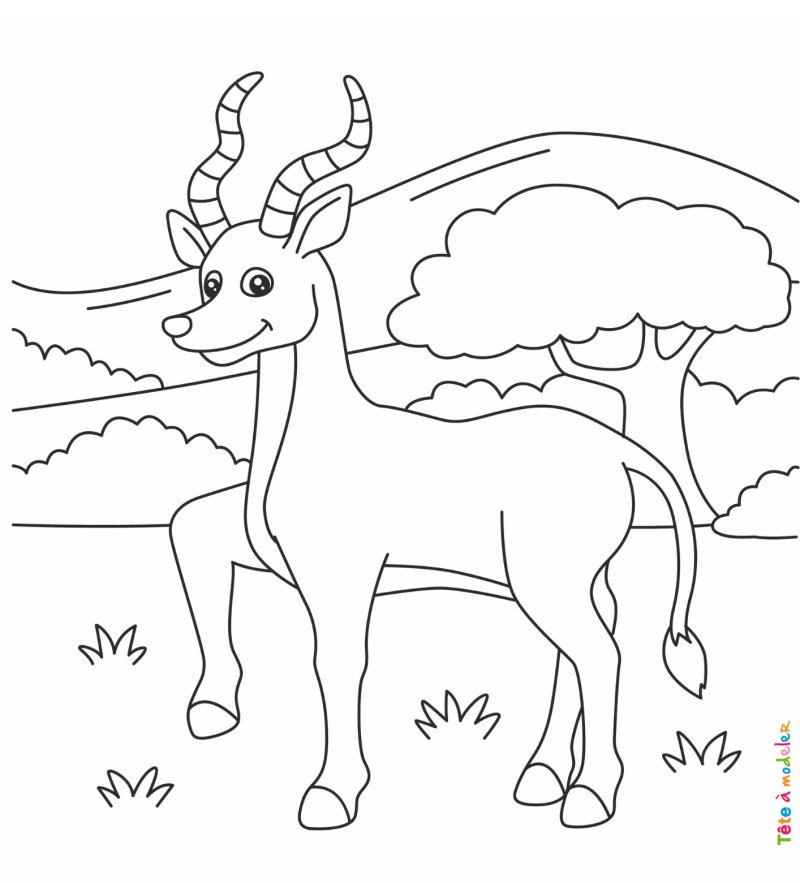Coloriage antilope #03