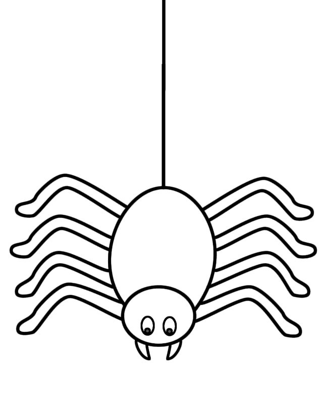 Coloriage araignée mignonne