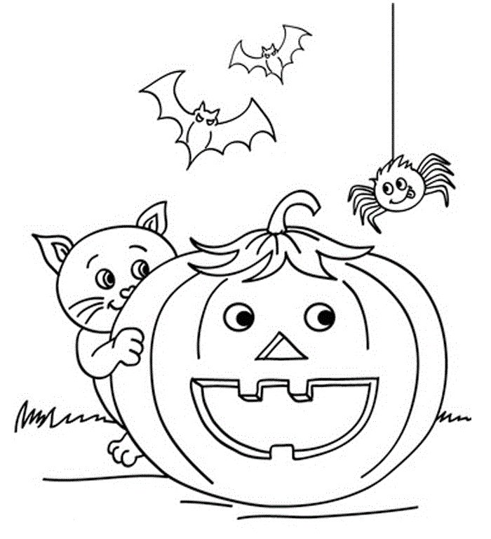 Coloriage d'une araignée avec une citrouille d'Halloween