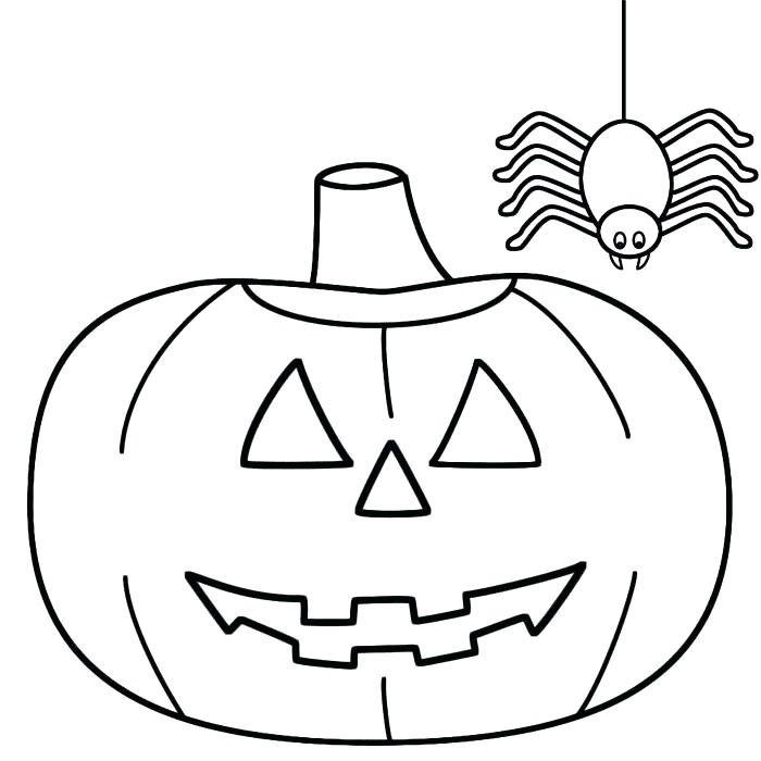 Coloriage araignée et une citrouille