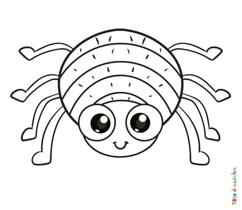 Coloriage araignée kawaii