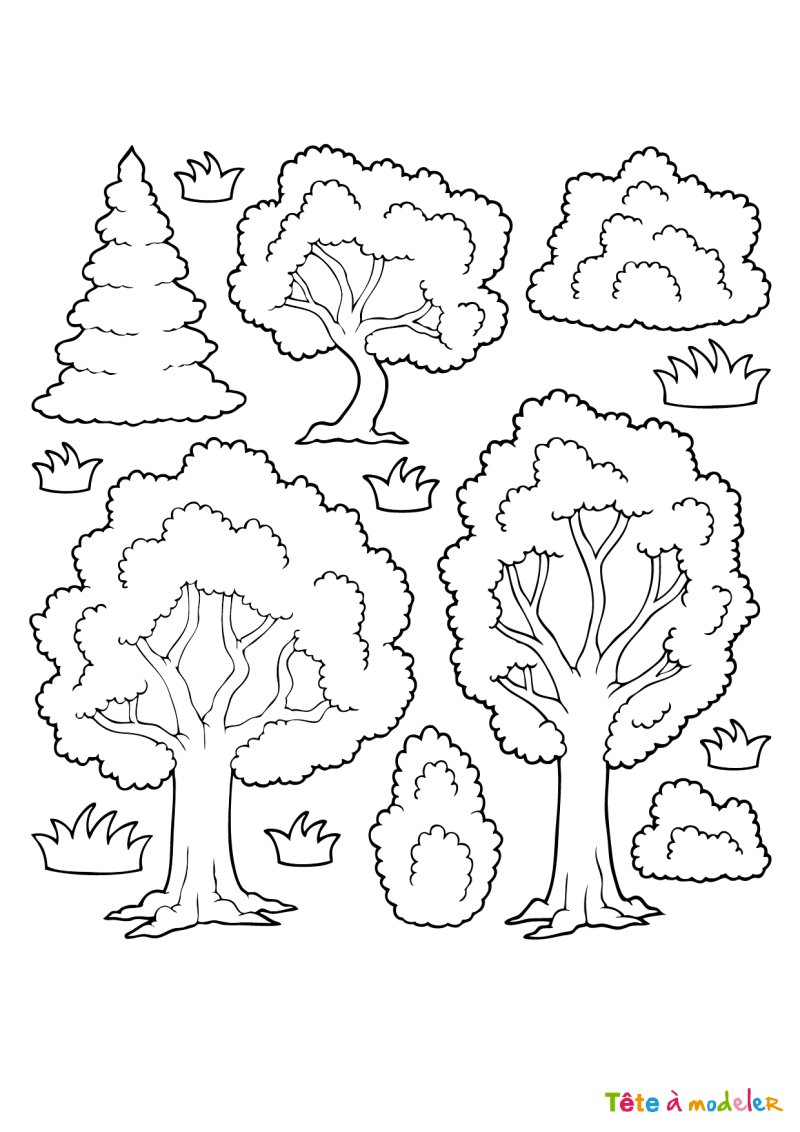Coloriage arbre #1