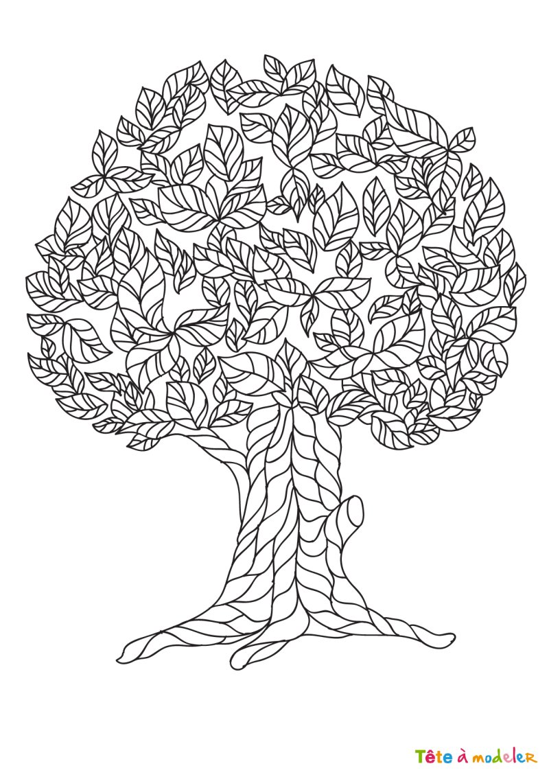 Coloriage arbre #2
