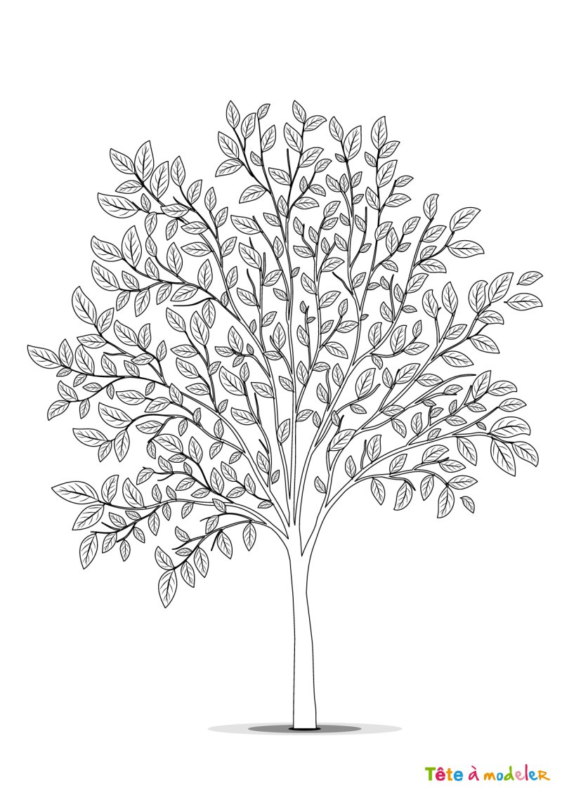 Coloriage arbre #3