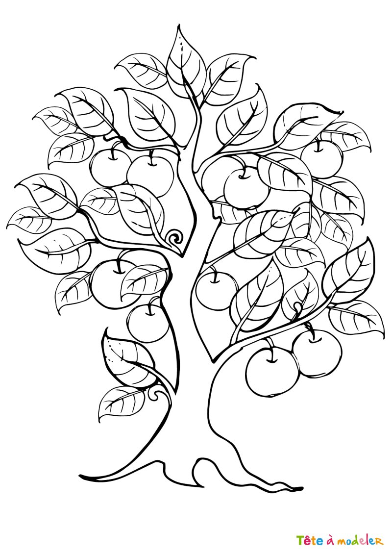 Coloriage arbre #4