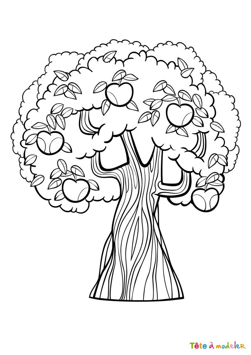 Coloriage arbre #8