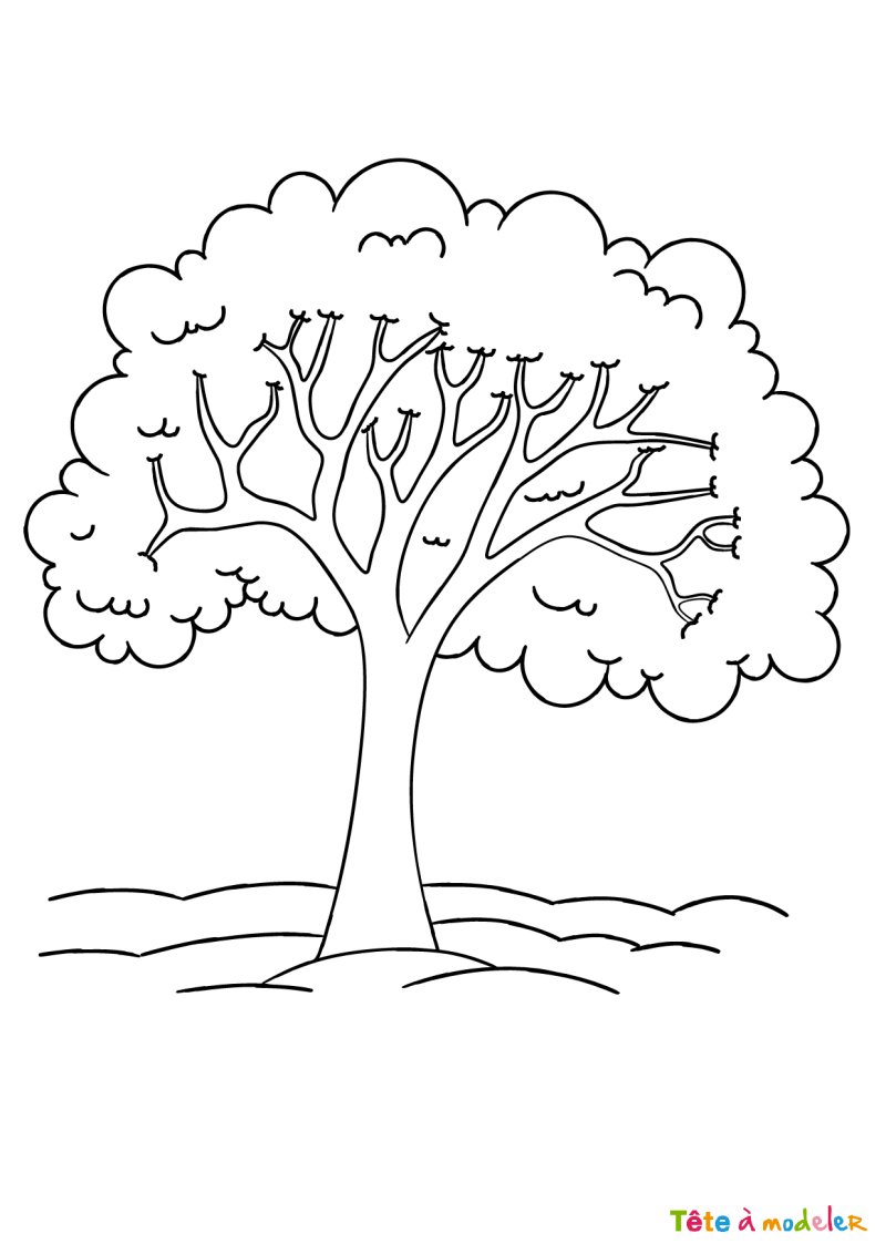Coloriage arbre #9