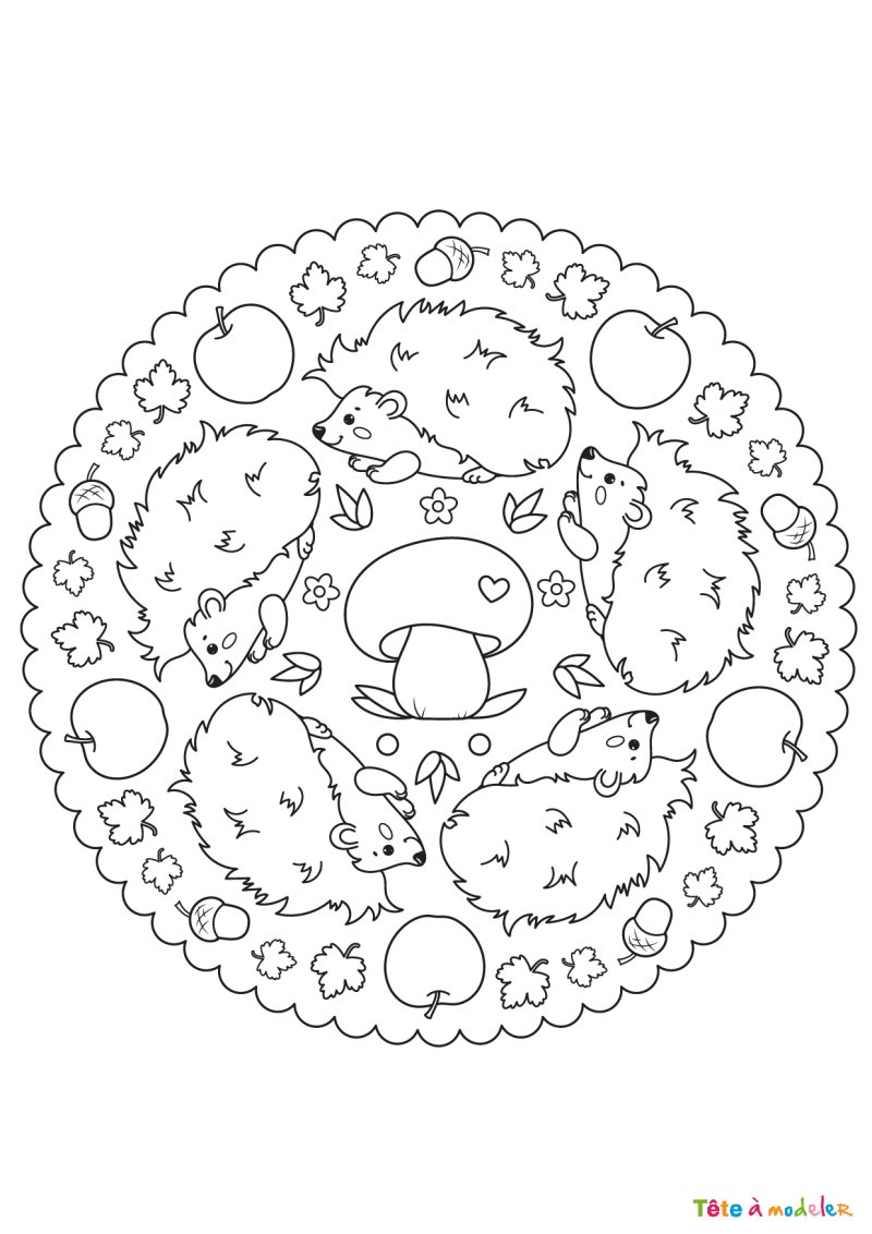 Coloriage d'un hérisson mandala
