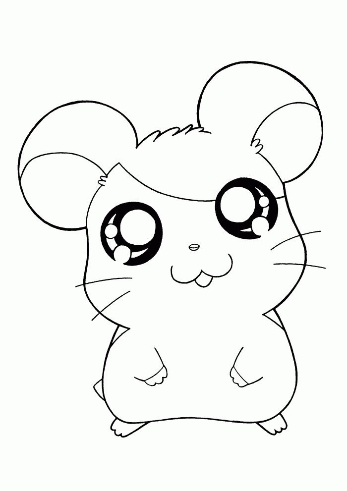 Coloriage bebe hamster