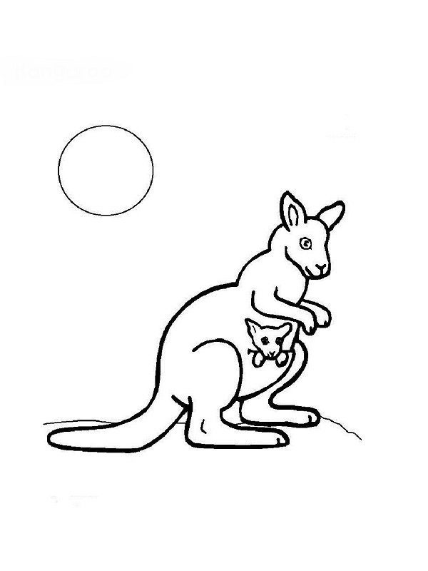 Coloriage bebe kangourou et sa maman