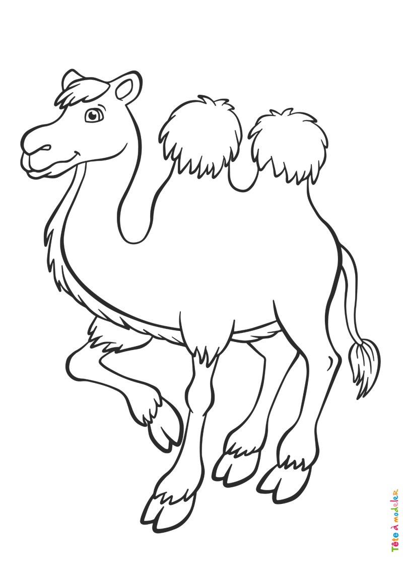 Coloriage chameau #02