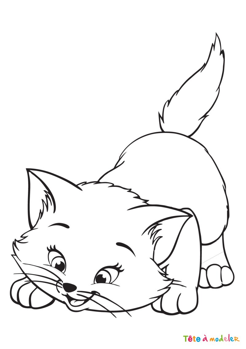 Coloriage chat #02