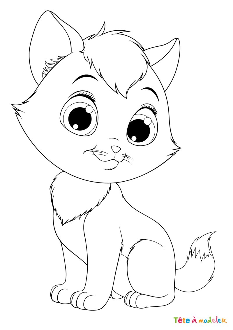 Coloriage chat #04