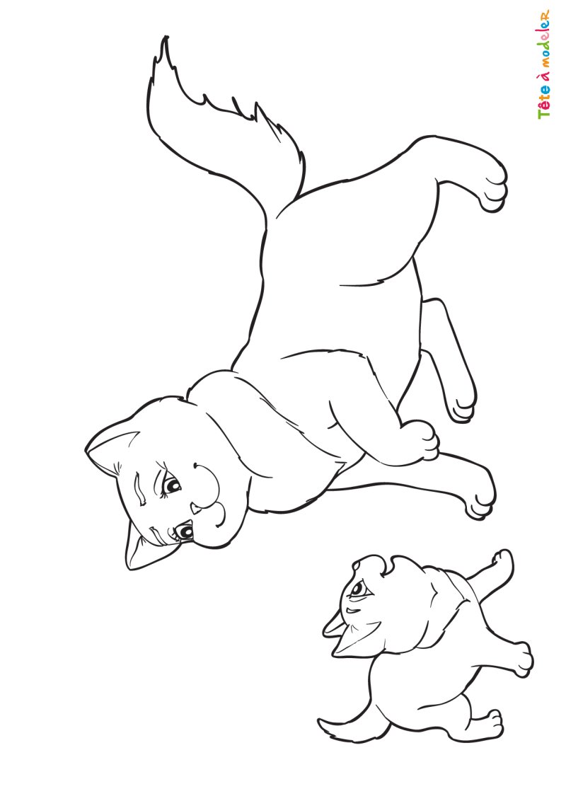 Coloriage chat #09